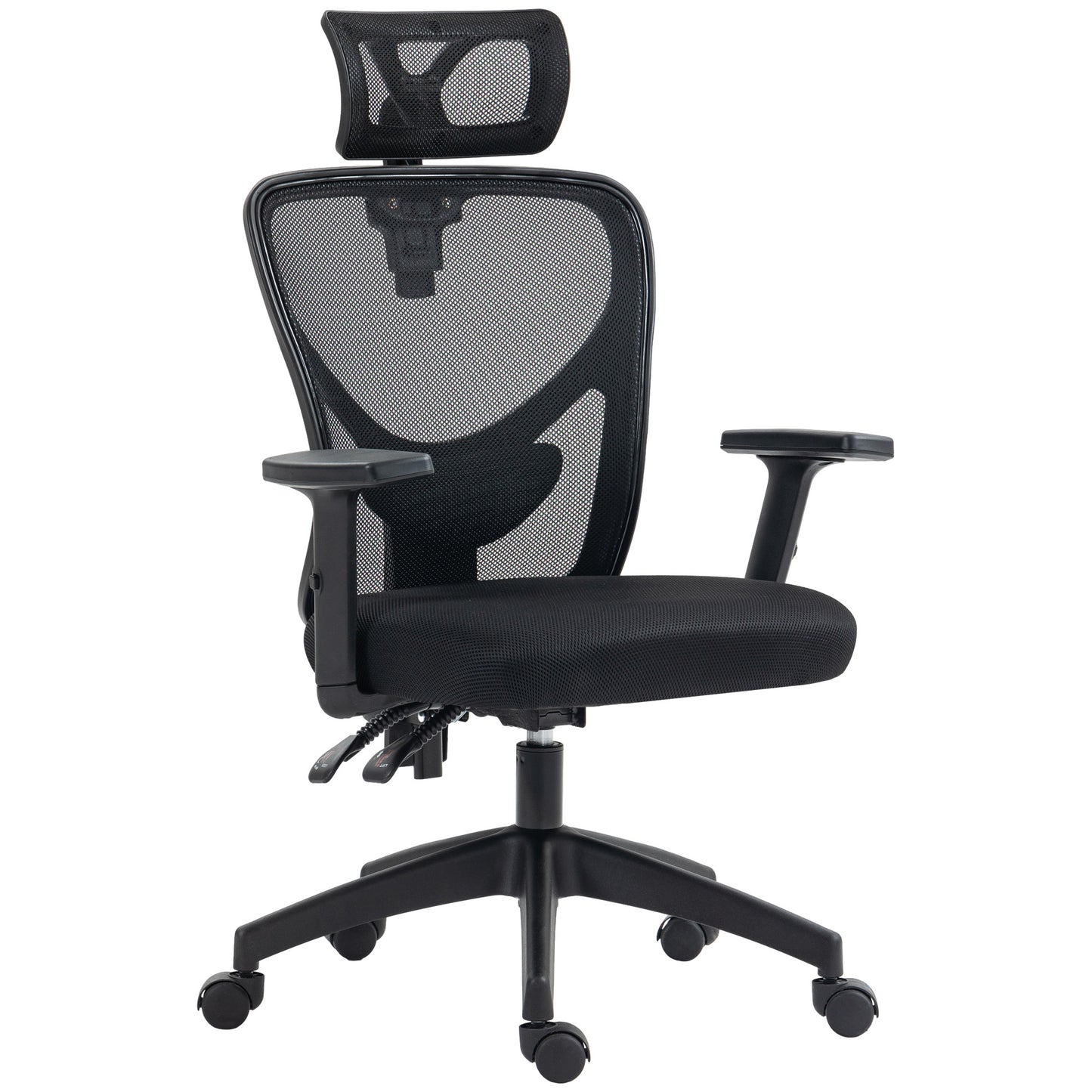 Vinsetto High Back Ergonomic Computer Home Office Chair, Mesh Task Chair with Lumbar Back Support, Reclining Function, Adjustable Headrest, Arms and Height, Black