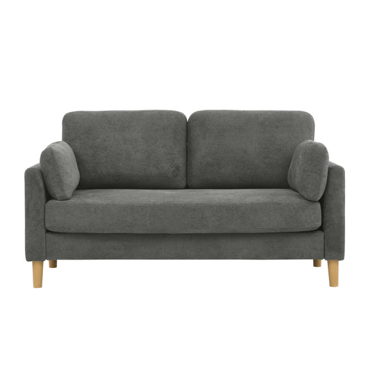 Modern Minimalist 2-Seater Sofa