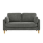 Modern Minimalist 2-Seater Sofa