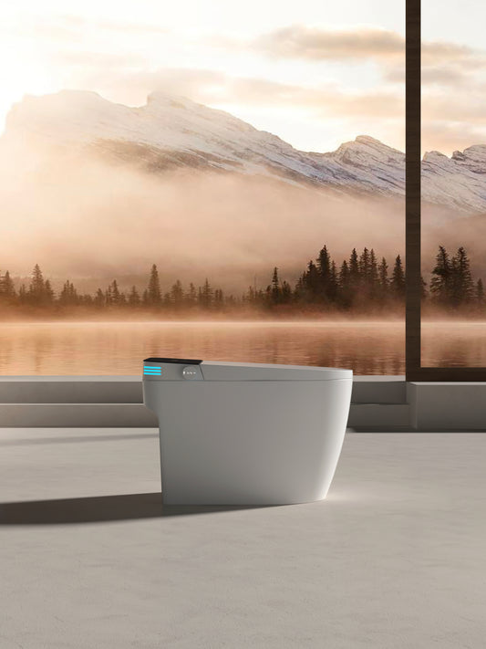 Smart Toilets with Heated Bidet Seat.Portable toilet with bidet built.Intelligent Toilet Auto Open/Close Seat. Bidet toilet with Dryer and Warm Water